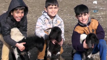 Muş'taki besicilerin kış sevinci