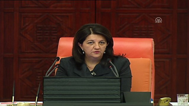 Canikli: '(Zeytin Dalı Harekatı) Harekatta kullanılan mühimmatın hemen hemen tamamını yerli imkanlarla üretme kapasitesine sahibiz' - TBMM