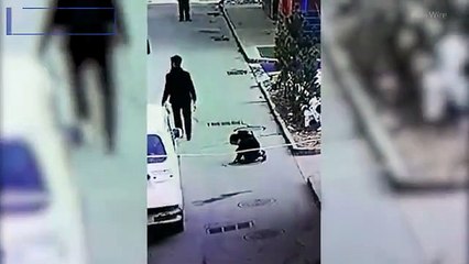 Djecak baca petardu u saht