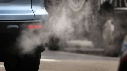 Egzoz Gazı Testleri İçin İnsanlar Kobay Olarak Kullanılıyor