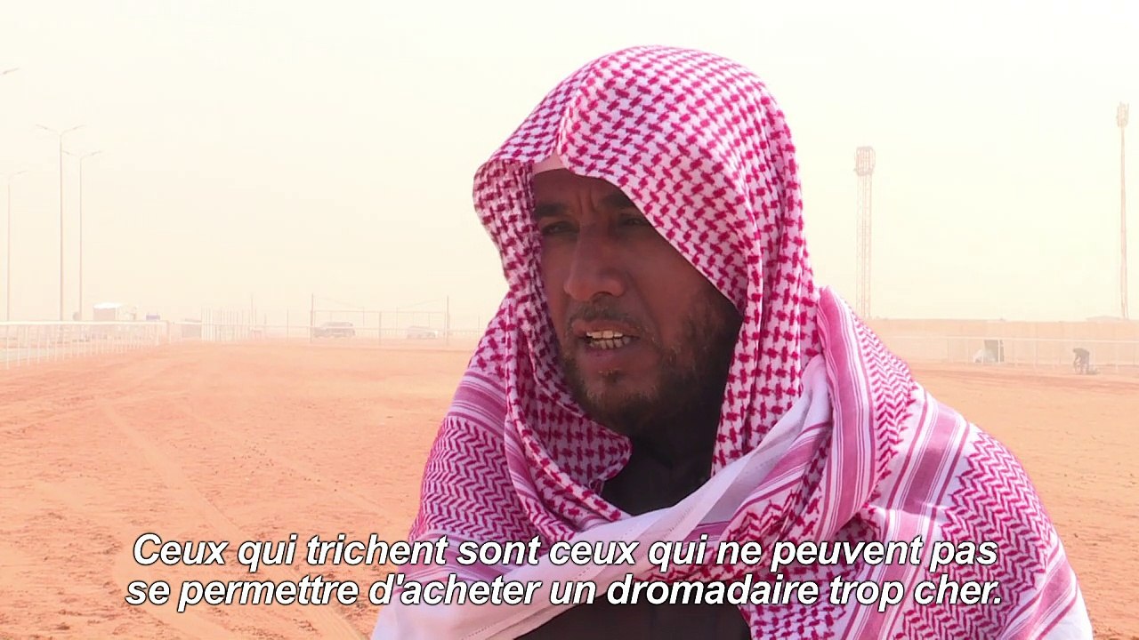 Dans un concours saoudien de chameaux, la beauté sans botox