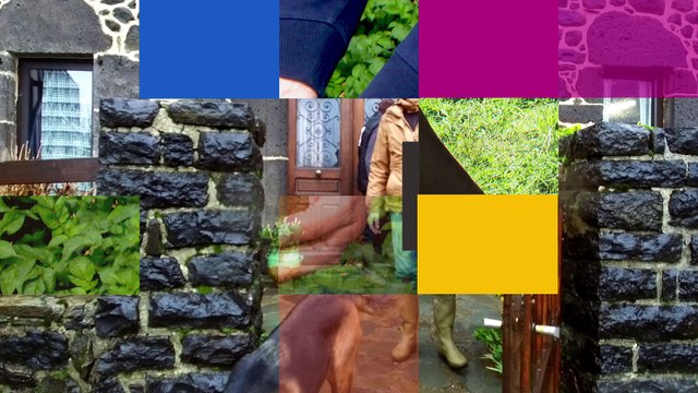 Haute, la vache du Salon de l'Agriculture 2018