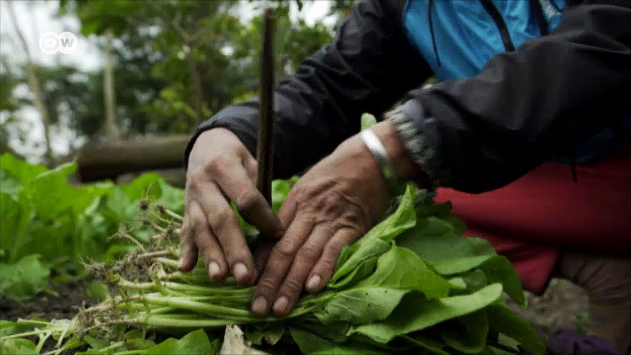 Ideas globales: Vietnam, extremos climáticos |...