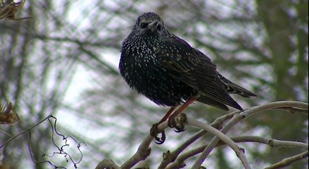 Bristol Evening Weather 30/01/18