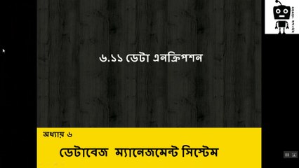 Data Encryption Basics 📊