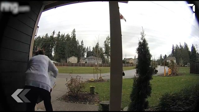 Une voleuse se casse la jambe pendant un cambriolage - Le Rewind du mardi 30 janvier 2018