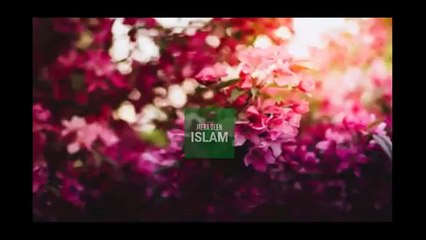 Hazrat Suleman AS Aur Jinnat Ki Ladai Fight Between -