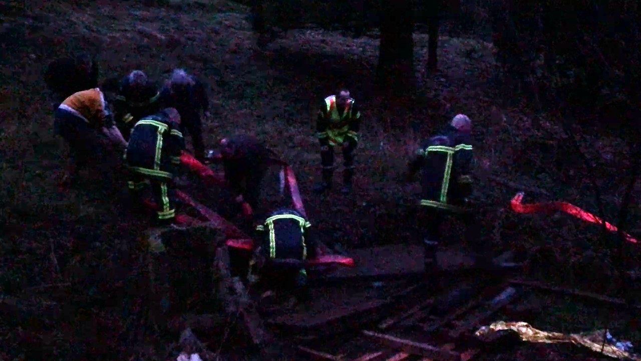 Sauvetage d'un âne prisonnier d'une mare de boue par les pompiers
