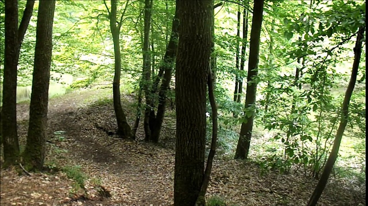 La Diemelbach