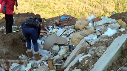 Çöplükte çok sayıda ölü köpek bulundu