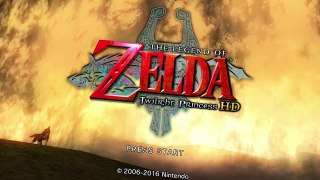 64 Things WRONG With Twilight Princess