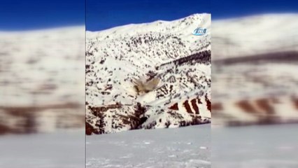 Ele geçirilen mühimmatlar böyle imha edildi