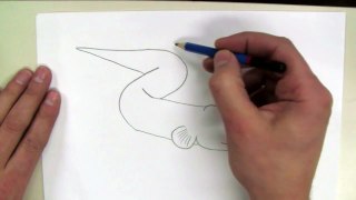 How To Draw: Electric Eel