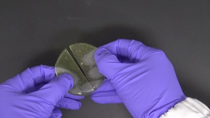 영화 같은 '자가 치유 능력 신소재' 개발 / YTN