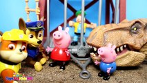 Peppa la Cerdita en Español y Videos de Dinosaurios para niños ✨ Capítulos de peppa la cerdita # 3