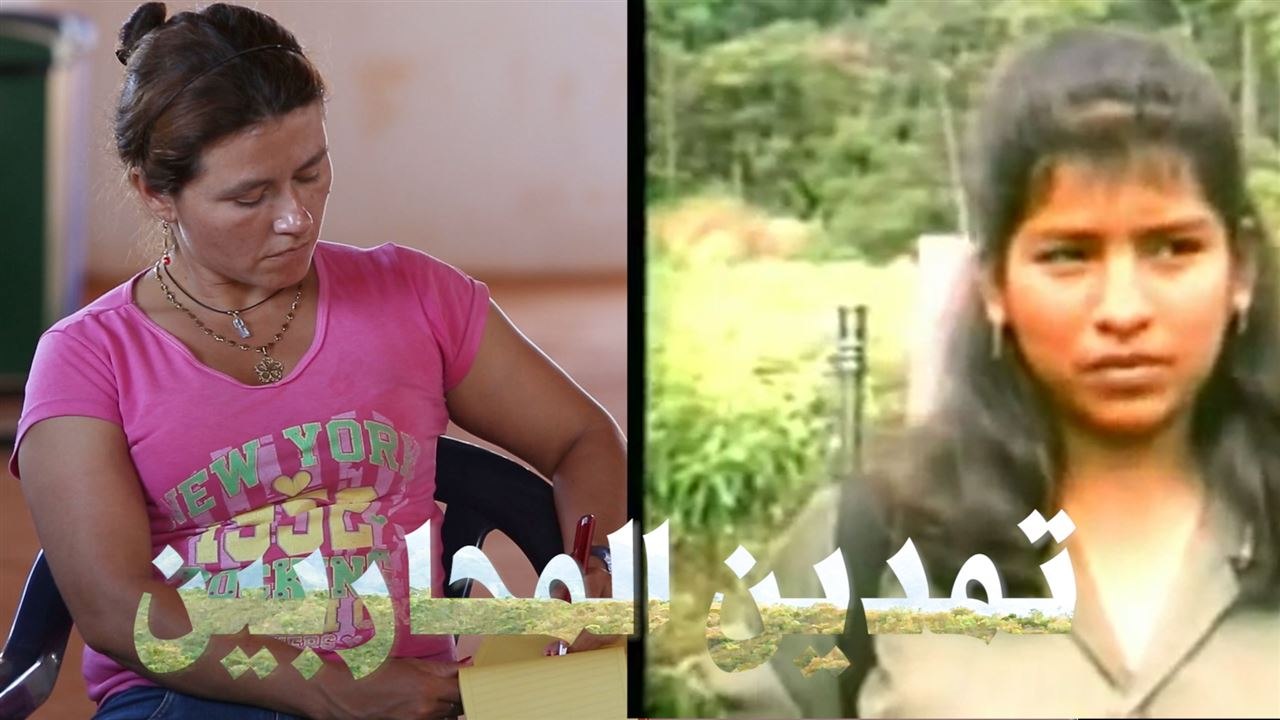 إعادة دمج المحاربين