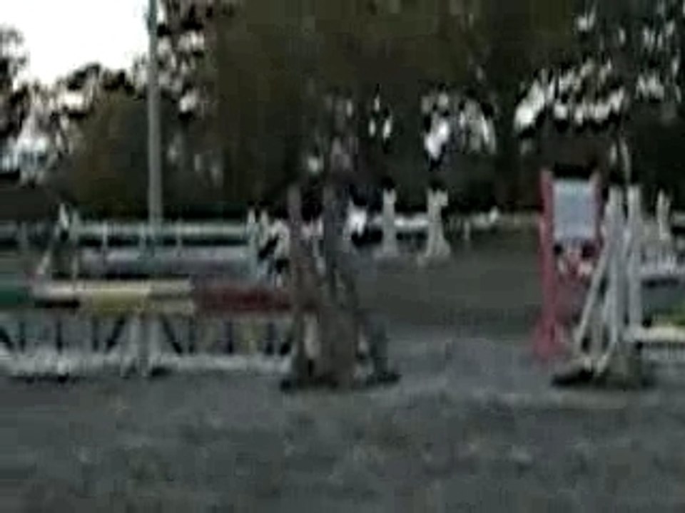 D1p St Cast King Express