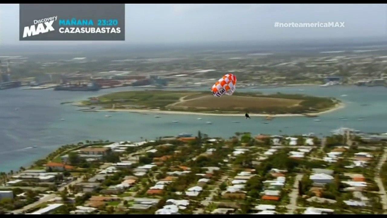 Miles de tiburones en la costa de Miami