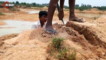 Wow! Amazing 2 Children Catch Big Water Snake In Hole By Digging