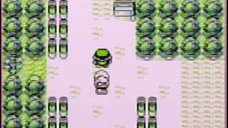 Pokemon Red/Blue - Glitched Magikarp Run (Part 1)