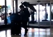 Woman Tries to Board United Flight With Peacock as Comfort Animal