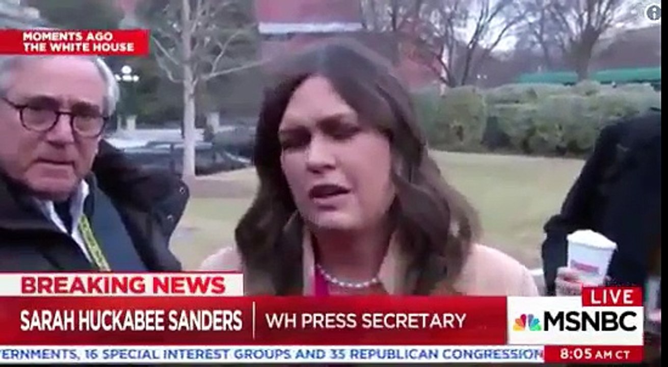 Sarah Huckabee Sanders- Trump Isn't Racist Because He Had TV Show