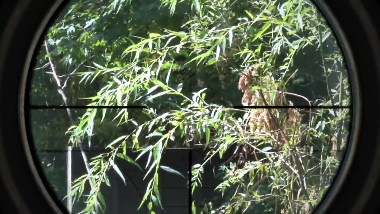 Airsoft Sniper DEFENSE Gameplay ( LBX Day at Ballahack)