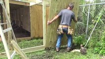 THE CHICKEN COOP. Expanding Again. How to make the cage door.