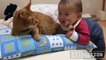 Babies annoying cats – Funny baby vs cat compilation
