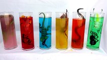 Creepy Crawly Bugs,Snakes,Giant Ants/Hand Paint Rainbow Colors/Learning Colors with Soda/Pez Toys