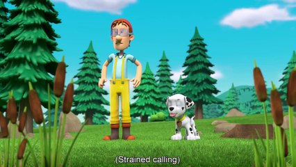 PAW Patrol Season 4 Episodes 23 Best moments - sophia kids tv