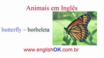 Aprenda Os Animais em Inglês e Saiba Como Adjetivá-los – Lista Extensa