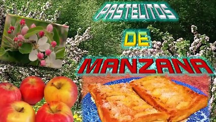 PASTELITOS DE MANZANA