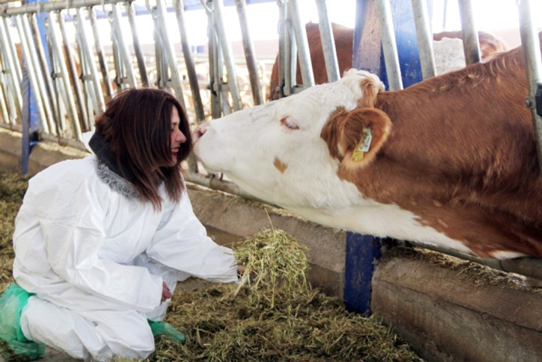 Mühendisliği Bıraktı, Süt Çiftliği Kurdu