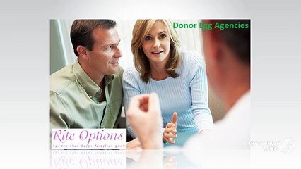 Donor-Egg-Agency