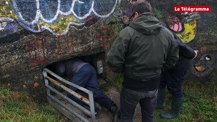 Tréguennec (29). Sous le concasseur, les rhinolophes