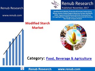 Download Video: Modified Starch Market will reach more than US$ 13 Billion by 2024