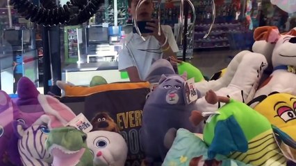 Claw Wins From The Secret Life Of Pets Movie