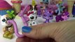 Fan Mail #23 - Mystery Surprise Blind Bags Littlest Pet Shop Opening LPS