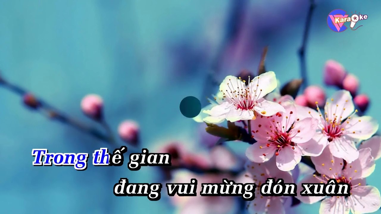 Tâm sự nàng xuân - Karaoke HD