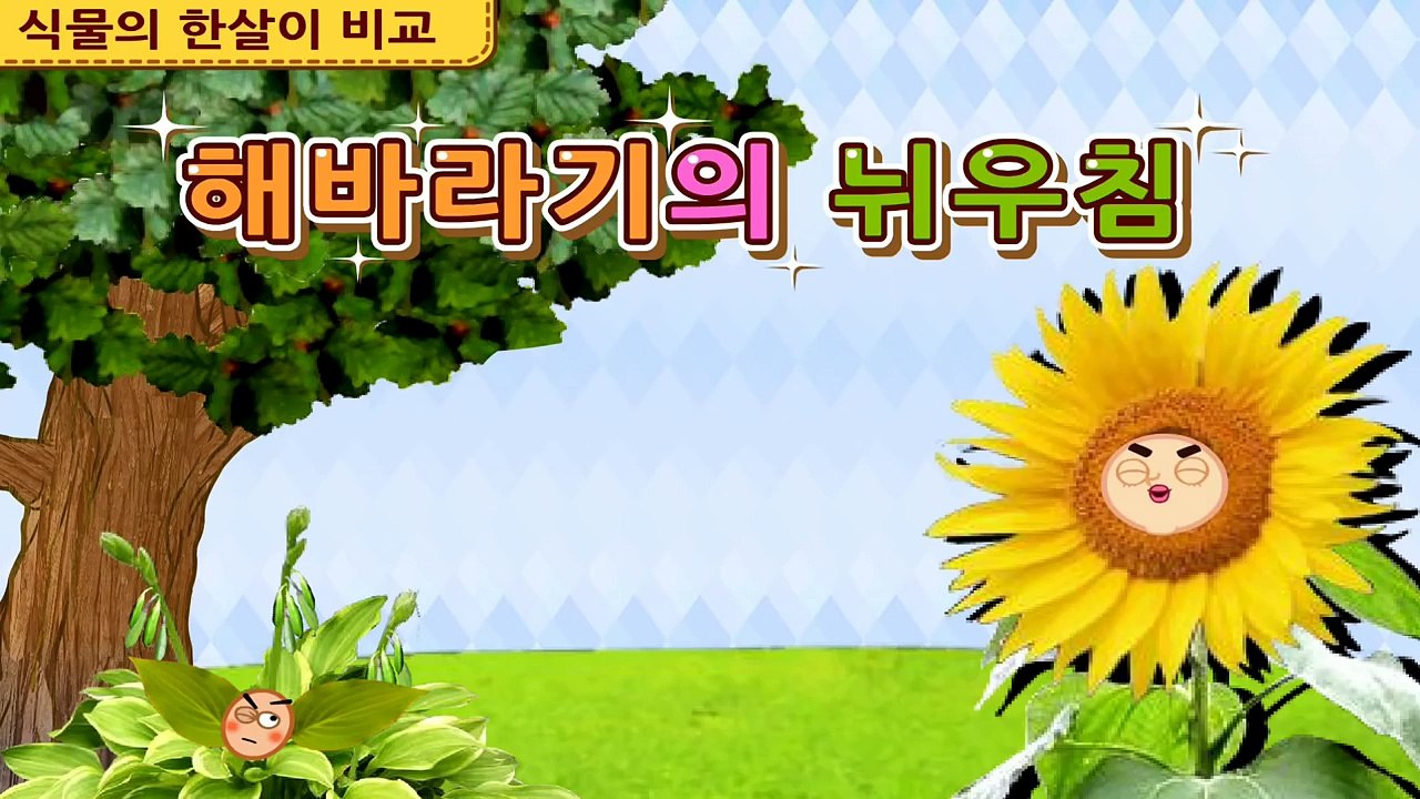 나무가 되고팠던 해바라기의 슬픈 한해살이 | 식물의 한살이 비교 | 어린이 자연관찰 | 지니키즈★초등과학