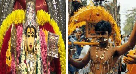 பழனியில் தைப்பூச திருவிழா கோலாகல கொண்டாட்டம்....வீடியோ