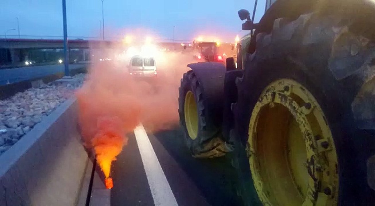 Manifestations des agriculteurs à Toulouse
