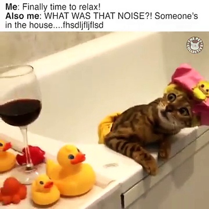 EVERY. TIME. 