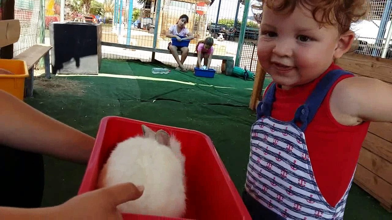 BDT 2015-2018 Teil 2