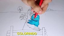 galinha pintadinha completo desenho galinha pintadinha eo galo carijó apaixonados 2016