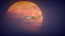 [통통영상] 보기 힘든 특별한 우주쇼 '슈퍼·블루·블러드문' / YTN