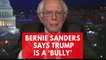 Bernie Sanders says Trump is a 'bully' after the State of the Union