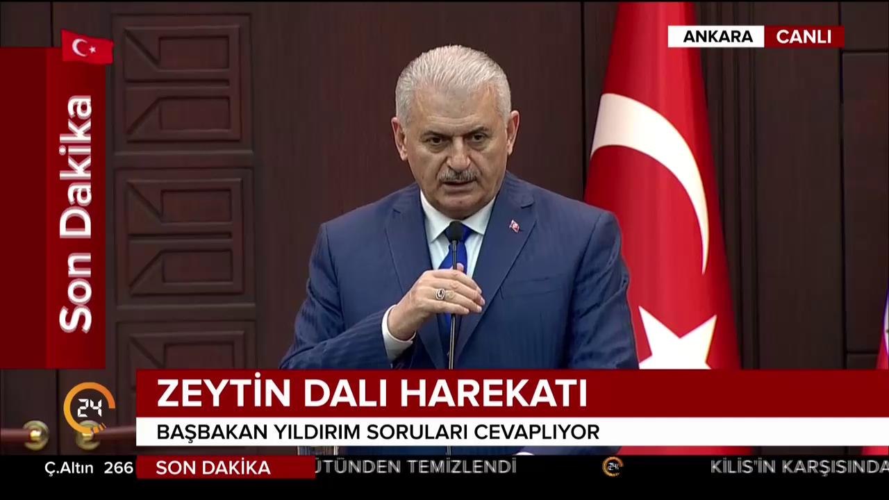 Zeytin Dalı