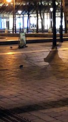 Invasion de rats à Châtelet - Les Halles.
